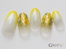 グルス(GRUS)/エアジェルアートコース