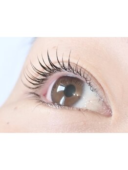 初めての方にオススメ