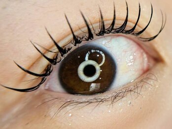 ココラッシュ 新宿西口店(cocolash)の写真/丁寧なカウンセリングと高い技術であなたの理想のお目元に☆目の形に合った理想のまつ毛を追及、ご提案！