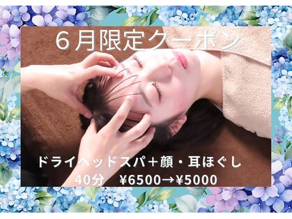 マナオリ(Mana oli)の写真
