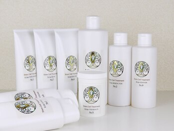 エマーチェ 自由が丘(emmace)/結果重視のフェイシャルメニュー