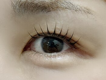 シエル(Ciel by Luxe)/韓国式まつ毛パーマ