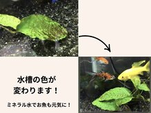 ベリル(BERYL)/家族の健康も守ろう！