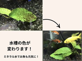 ベリル(BERYL)/家族の健康も守ろう！
