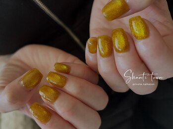 シャンティ タウン(Shanti town)/マグネットネイル