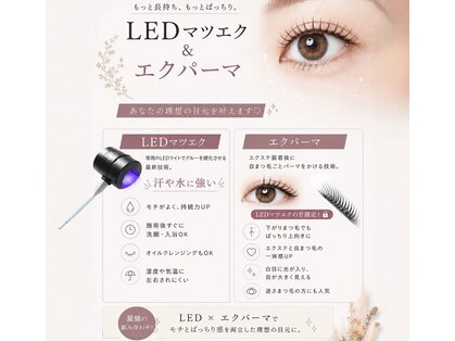 ユメビ(YUMEBI)の写真