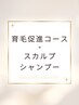 【スカルプシャンプー１本セット】人気No.1コースにシャンプー(5,500円）付