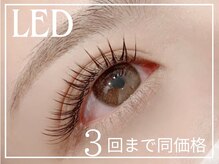 アイラッシュ リップル(Eyelash ripplu)