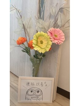 パピヨン(Papillon)/お客様の口コミ◎