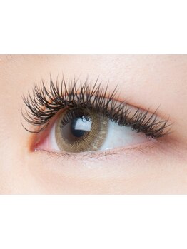 初めての方にオススメ