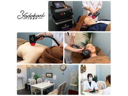 やどかりの写真