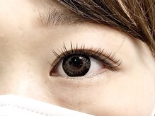 シック(Chic)/フラットマットラッシュ１２０本