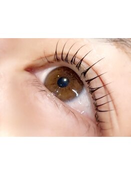 初めての方にオススメ