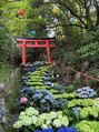 マナオリ(Mana oli) 京都柳谷観音あじさい寺