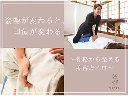 ヴィオラ(Viola)の写真