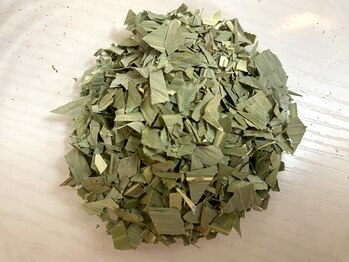 カランコエ(KALANCHOE)/〈黄土〉よもぎ蒸し/花粉に