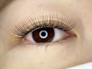 カレラ アイラッシュ 東川口(KARERA eyelash)/3Dボリュームラッシュ
