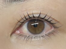 ハーフバックス 堀之内店/