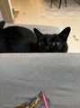 晴れ整体 猫好きです。