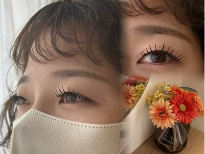 ノア(Noa)の写真