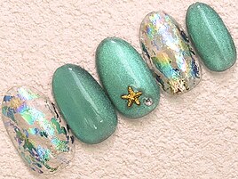 【定額】4590円★ヒトデ