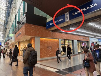 からだドリーム(からだDREAM)/道案内〈1〉