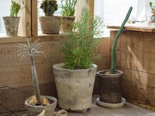 くにたち肩こり腰痛センター/