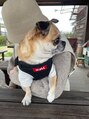 エティル(Etel atelier)&nbsp;愛犬です！