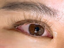 クレヴィア(crevia)/ブラウンフラットラッシュ160本