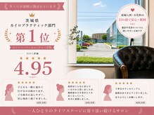 ファインベース(FINE base)