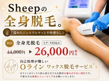 シープ(Sheep)