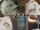 リオリ(Riori)の写真