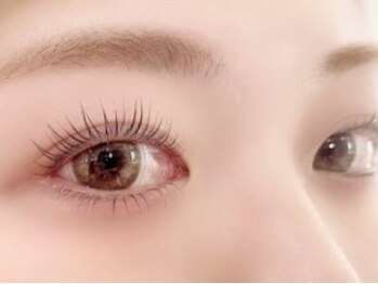 ティーラッシュ(T lash)/パリジェンヌラッシュリフト☆