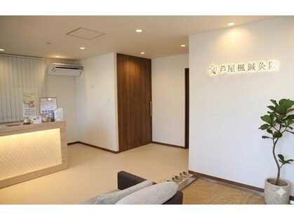 カエデ(Kaede)の写真