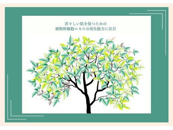 セン(Sen)/陶肌トリートメントの働き