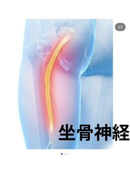 カワル整体 長嶺院/坐骨神経