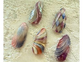 hand 持ち込みフリーアート120分