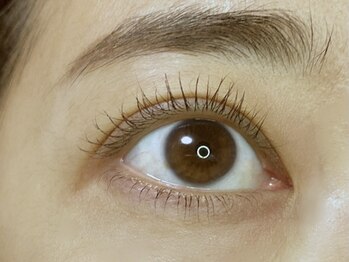 まつげエクステサロン クロエ(Chloe)/ラッシュリフト立ち上げパーマ