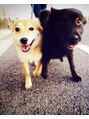 オア(OR)&nbsp;犬が大好きです！実家で6匹飼ってます！