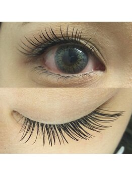 シュシュ(chou chou)/セーブル120本(chouchou吉祥寺)