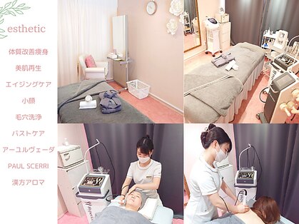 スウィートブリーズ(Sweet Breeze)の写真
