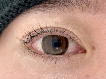 フィアラ 京都七条高倉店(Fiara)/まつ毛パーマ