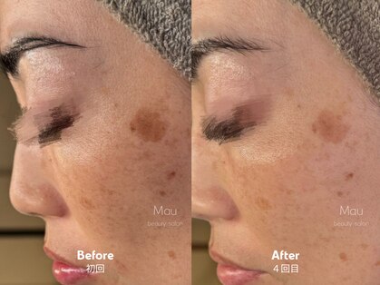 マウ(Mau)の写真