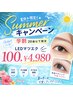 【学割】20歳以下限定 夏休みキャンペーン LED100本 ¥6650→¥4980
