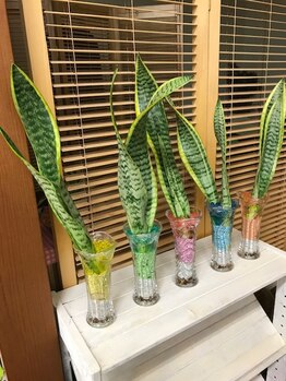 イヤシス アルプラザ敦賀店/緑の癒し空間♪