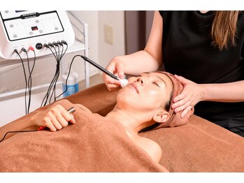 オリヴィエ/ION(イオン導出・導入)