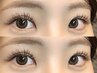 ダブルフラットラッシュ　【80束】