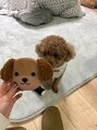 ダコード(D'accord) 愛犬のポロくんです!