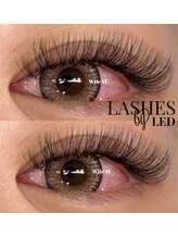 ウィート(WHeAT)/《LED》5Dボリュームラッシュ