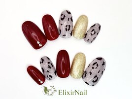 定額aシンプル/クーポン使用